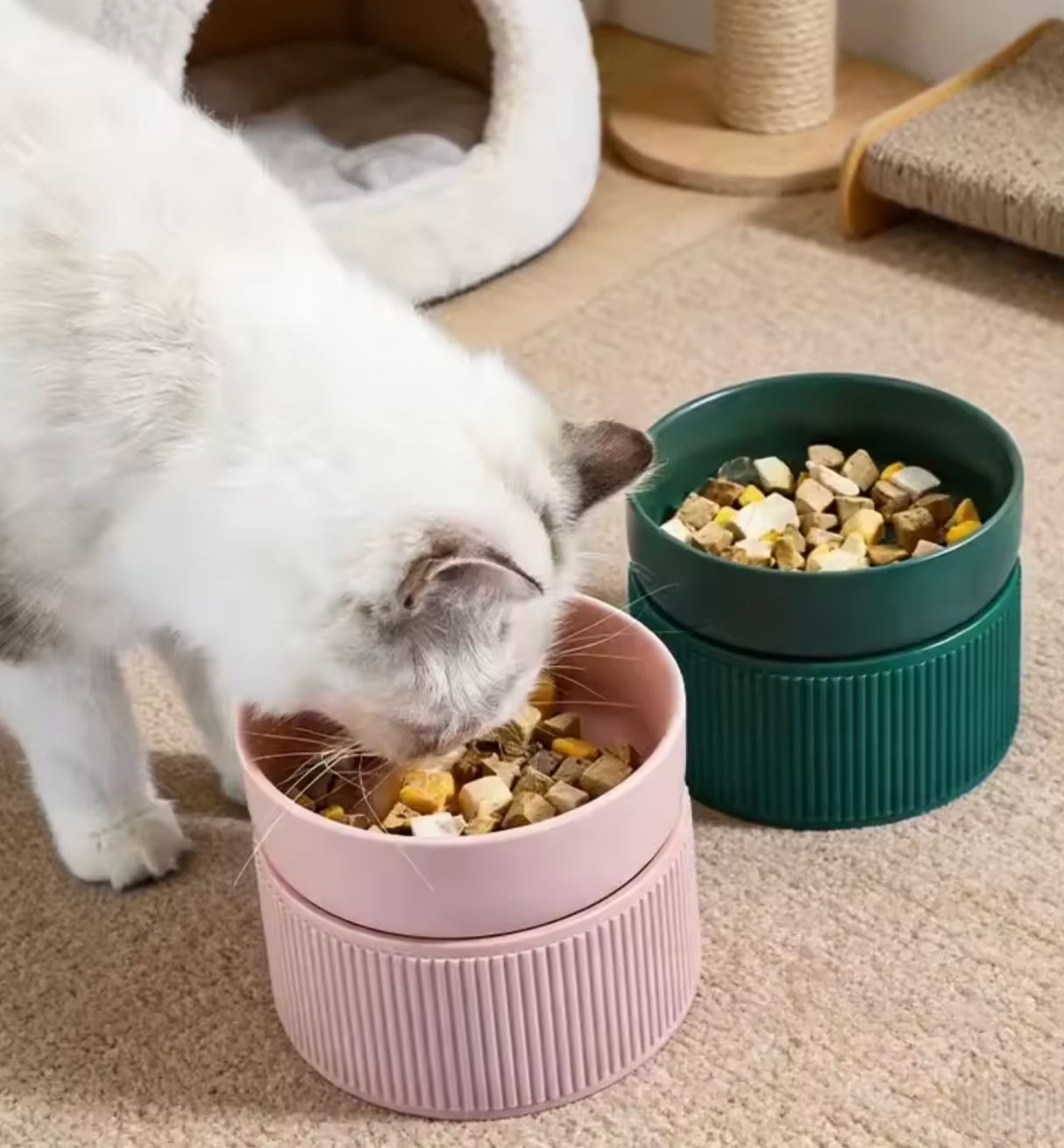Yunara Verhoogde Voerbak - Ergonomisch Ontworpen voor een Gelukkige en Gezonde Kat